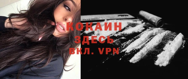 не бодяженный Арсеньев
