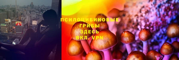 не бодяженный Арсеньев
