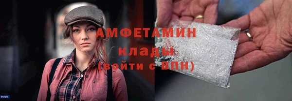 шишки Горняк