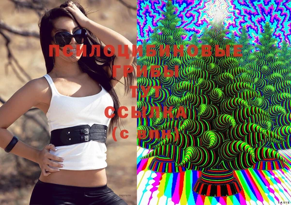 не бодяженный Арсеньев